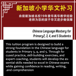 singapore chinese language tuition